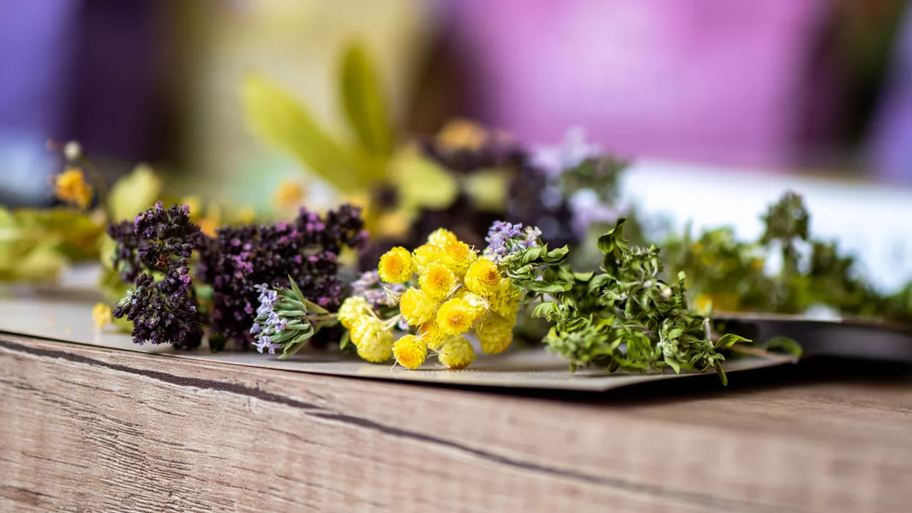 Scientists opened a secret of limonoids, which will help in creating anti-cancer preparations